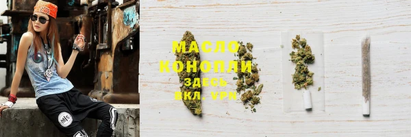 тгк Богородицк