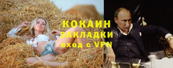 спиды Богородск