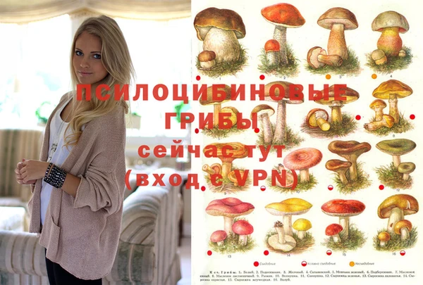 MDMA Premium VHQ Беломорск